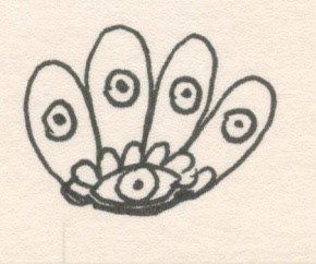 Five Eye Flower, Pen and Ink on Paper, 2004
