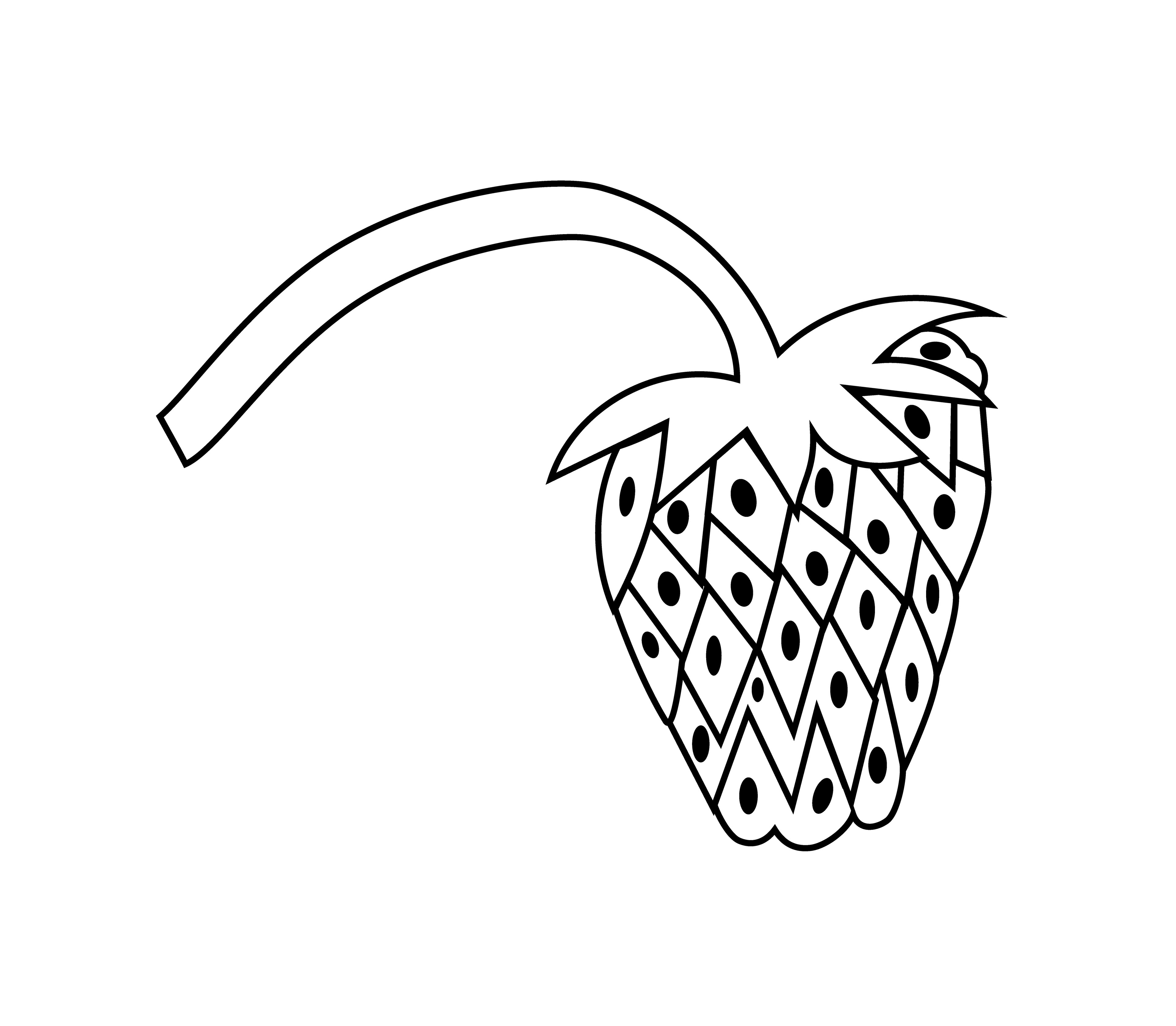 Strawberry, Vector Drawing, 2021