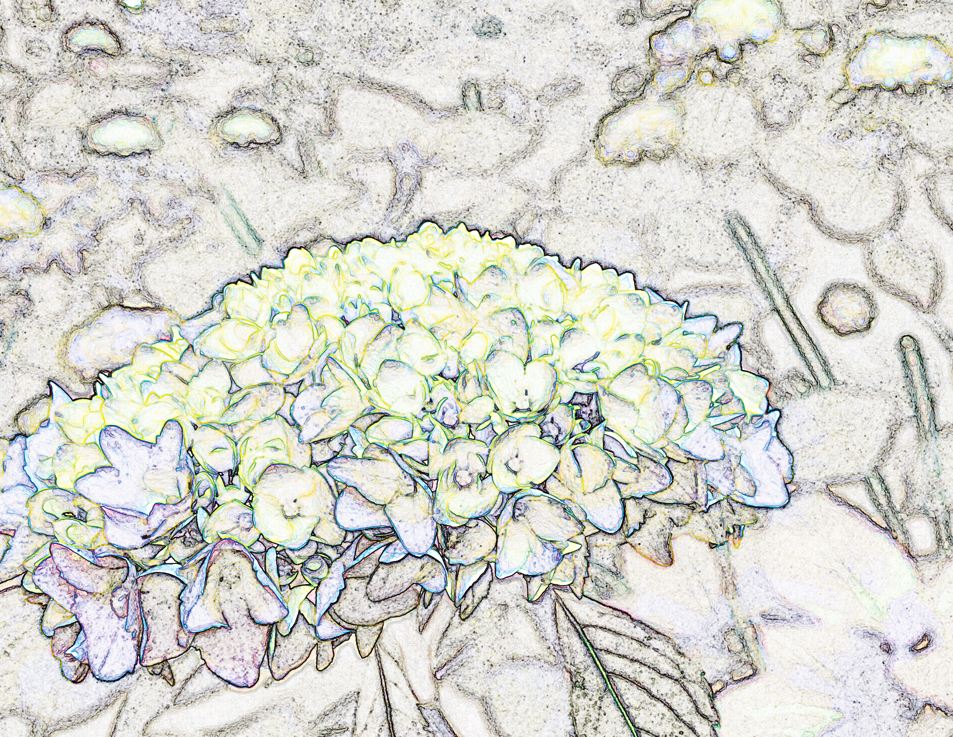 Blue Hydrangea, Digital Art, 2021