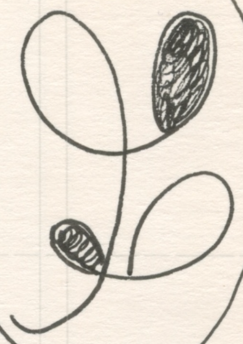Balloon Threads, Pen and Ink on Paper, 2007