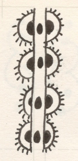 Lifting Chain, Pen and Ink on Paper, 2002