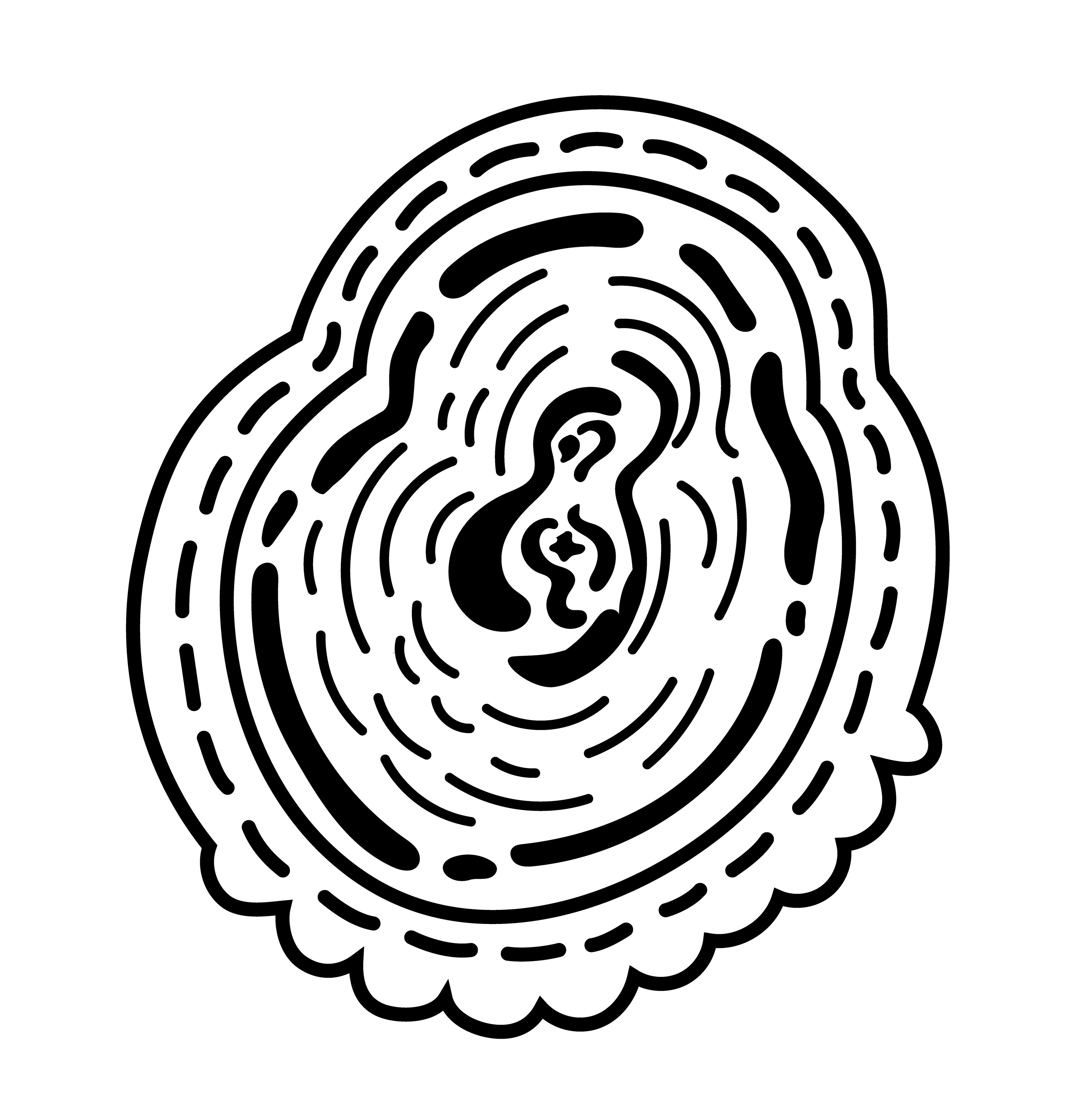2002-06-29-a7 - Vector Drawing