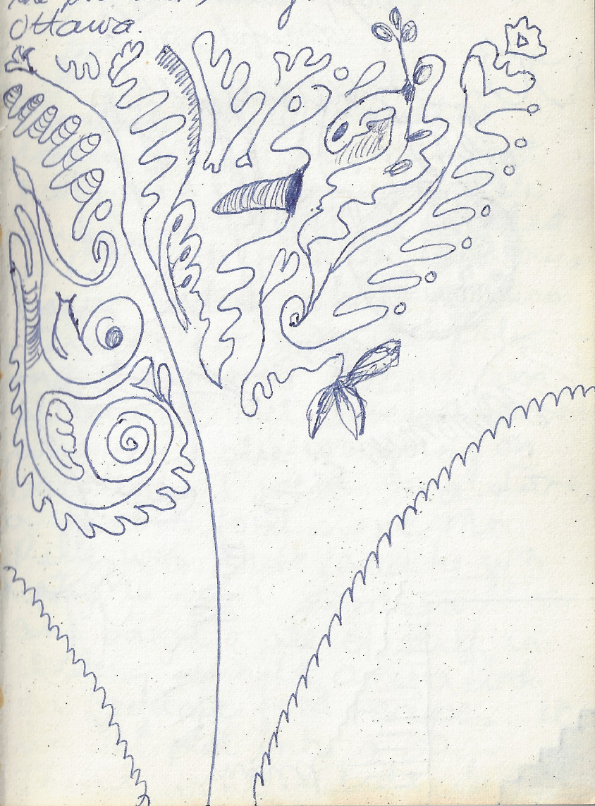 Ottawa Flower, Ballpoint Pen on Scrap Paper, 1976