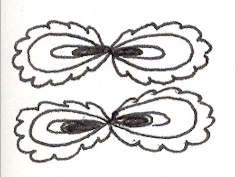 Cross-Eyed Flowers, Radiograph on Sketchbook Paper, 2000