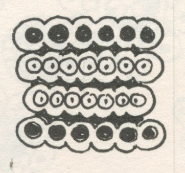 Jelly Roll, Pen and Ink on Paper, 2004