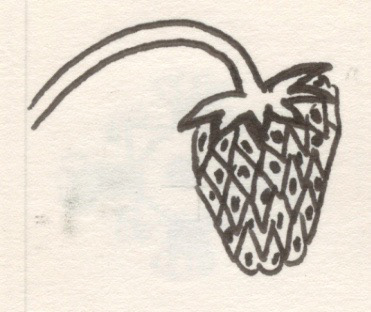 Strawberry, Pen and Ink on Paper, 2001
