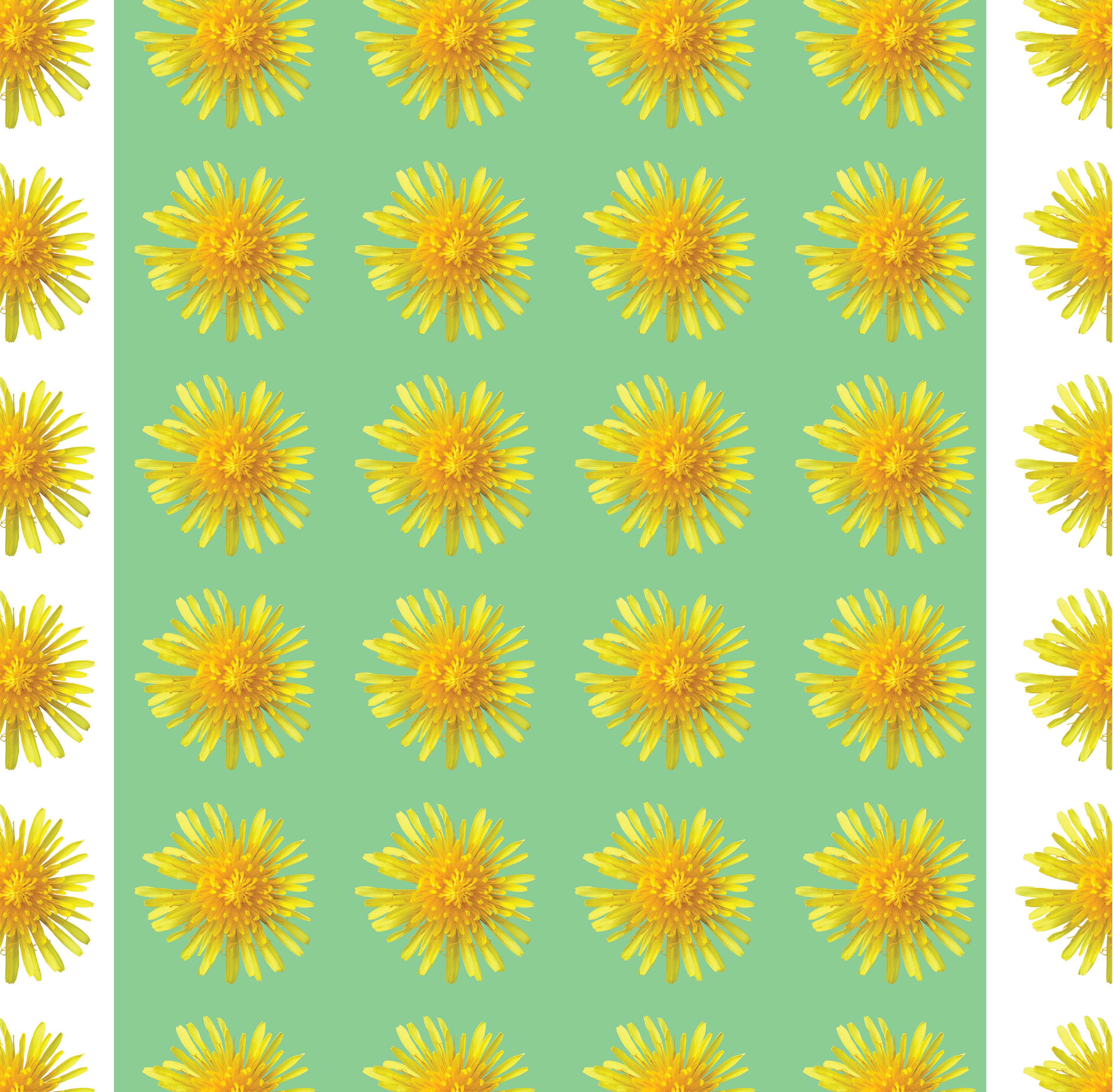 Dandelion Pattern, Digital Art, 2020