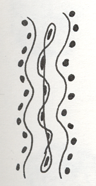 Drawing for Pansies, Pen and Ink, 1991