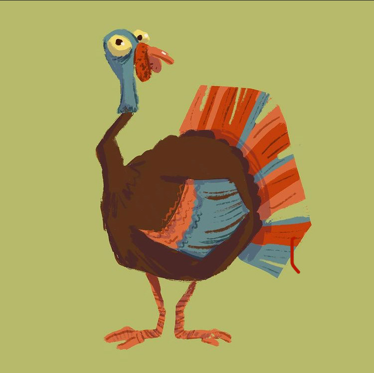 Turkey Character Design, digital, 1080x1080px