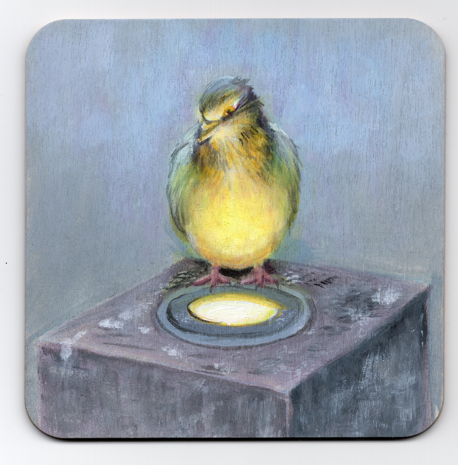 Gouache painting of pigeon on wood