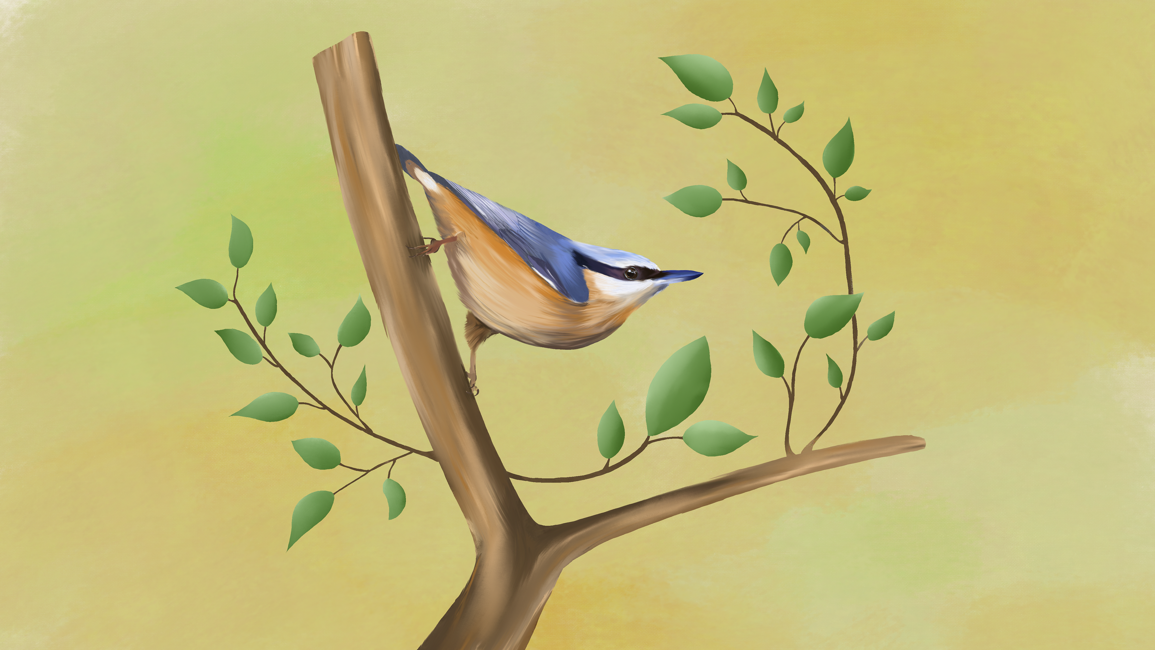 "Nuthatch"