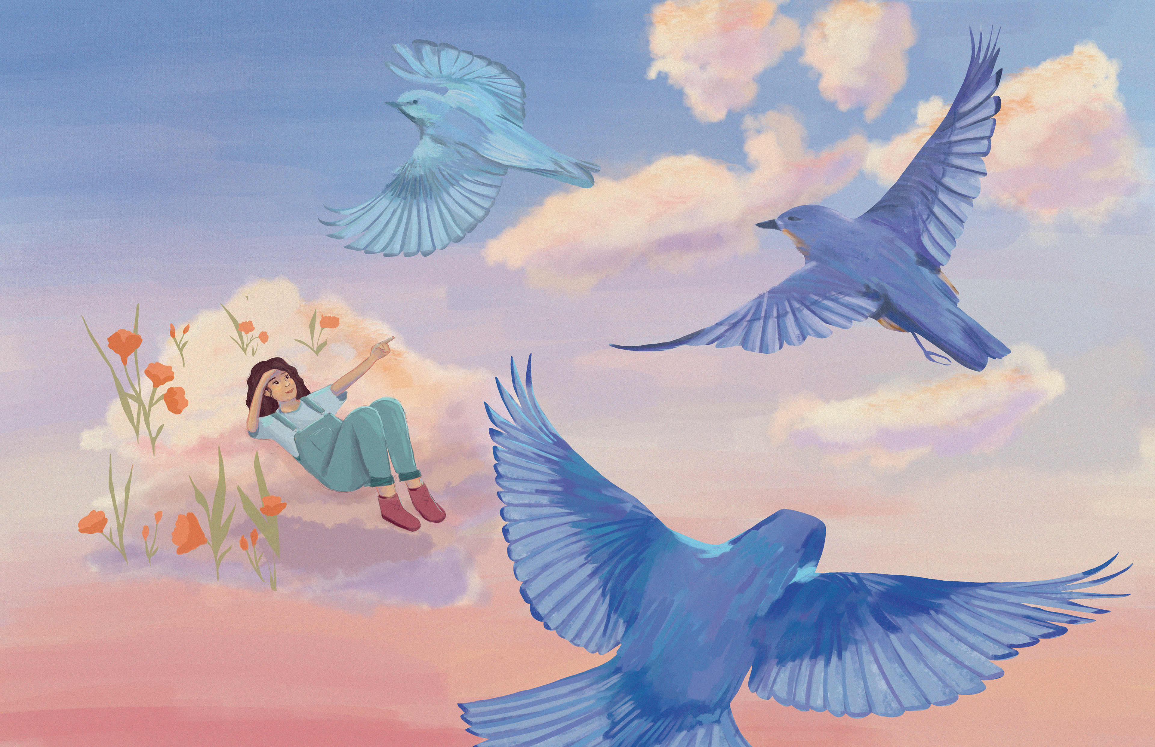 "Bird Watching in the Sky"