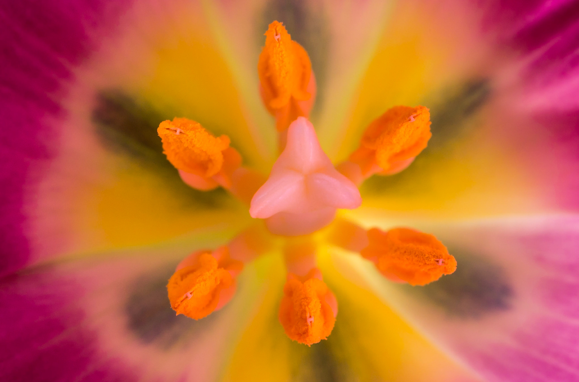 © fotoJAAP
