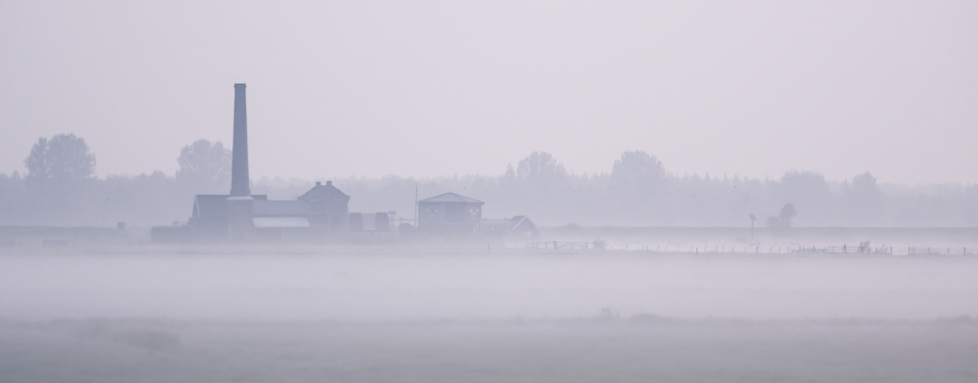 © fotoJAAP