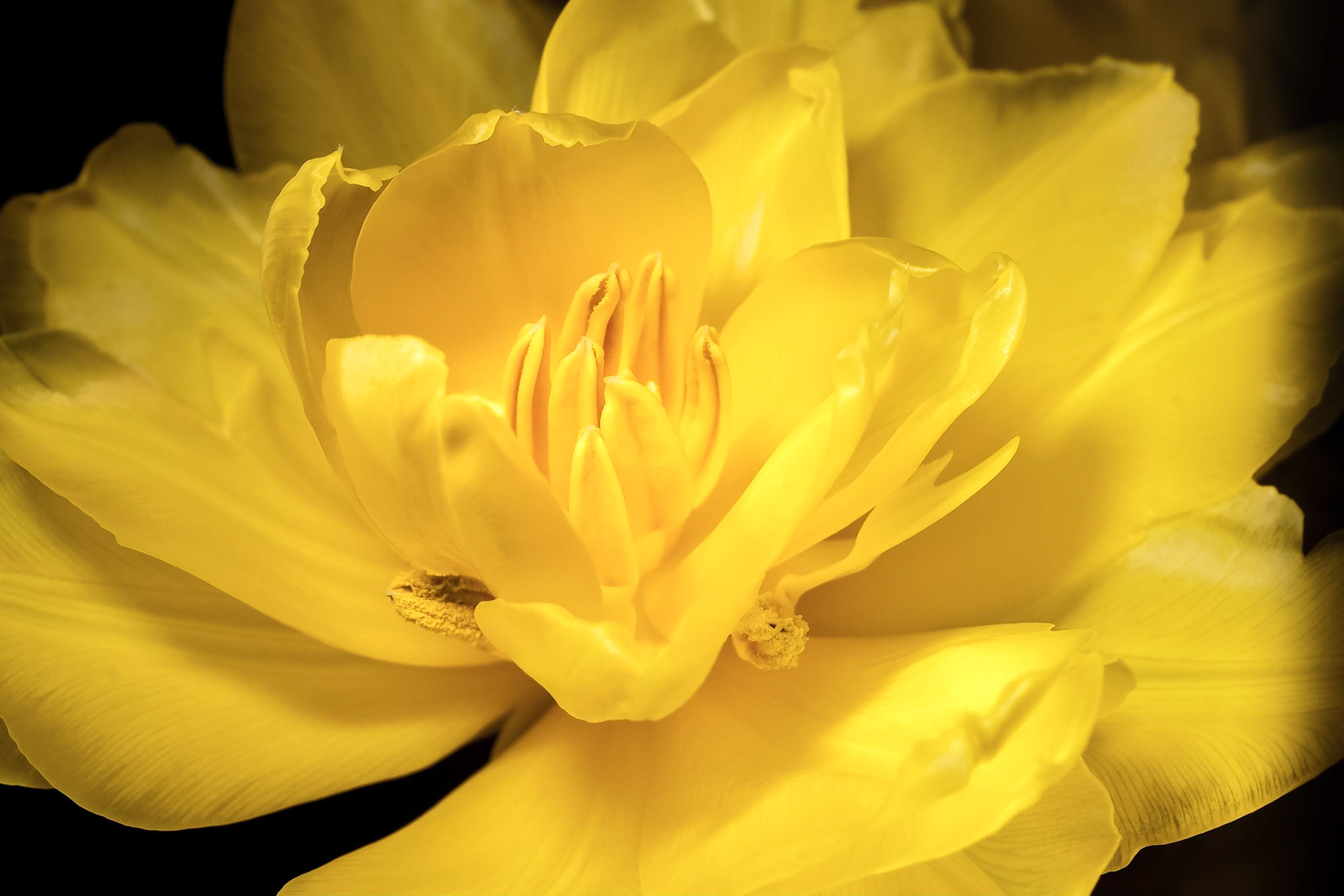 © fotoJAAP