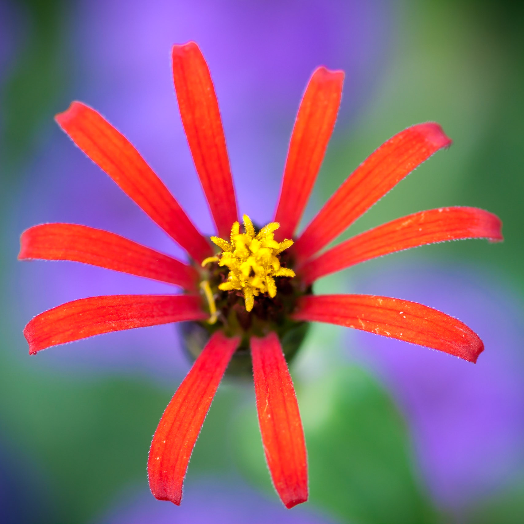 © fotoJAAP