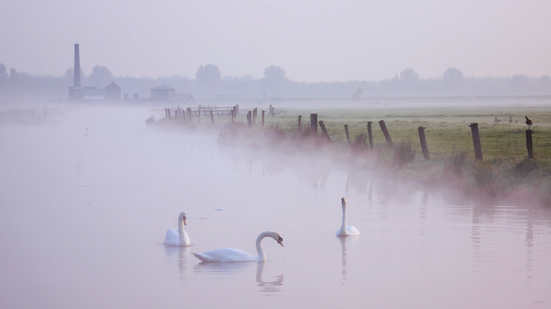 © fotoJAAP