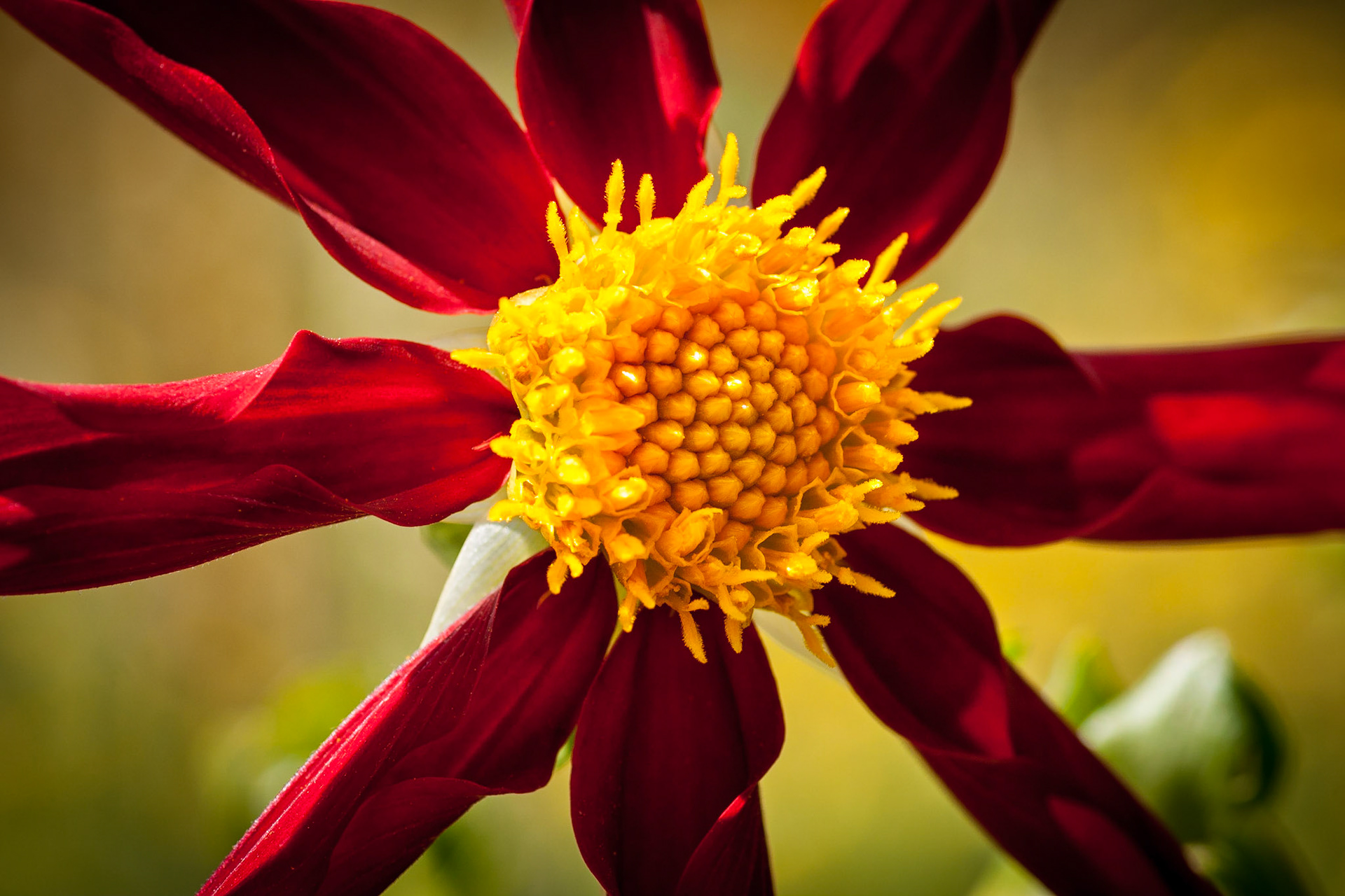 © fotoJAAP