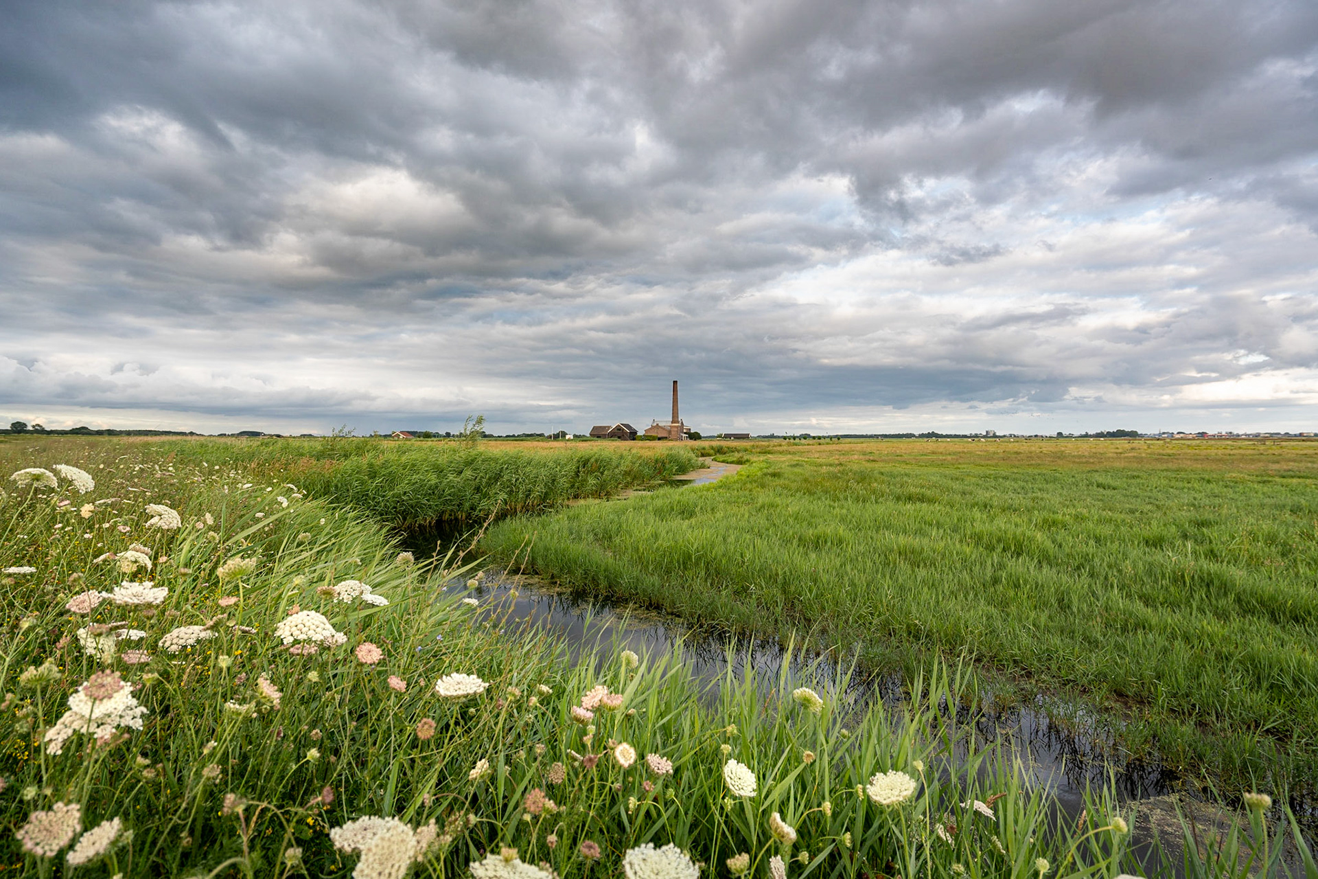 © fotoJAAP