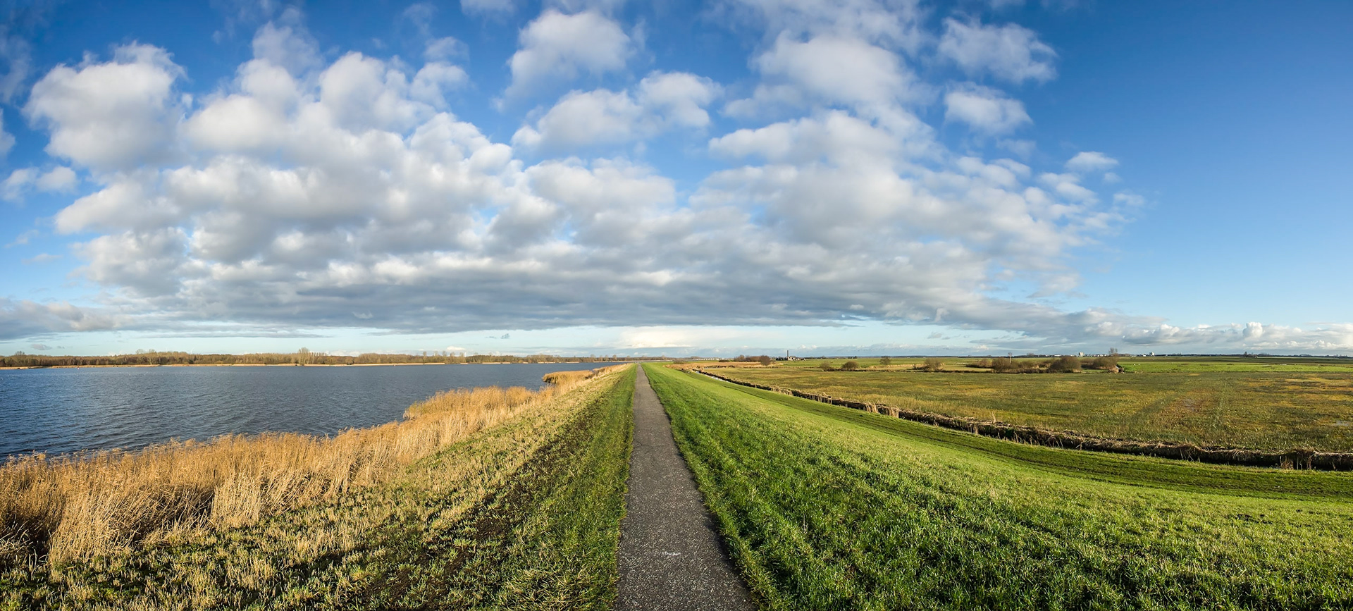 © fotoJAAP