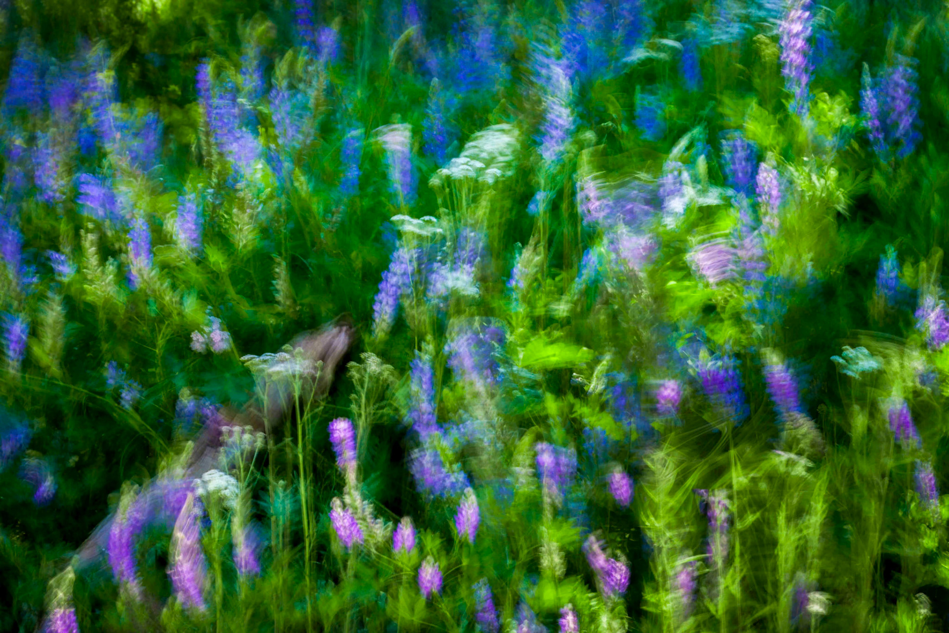 Nature Whispers