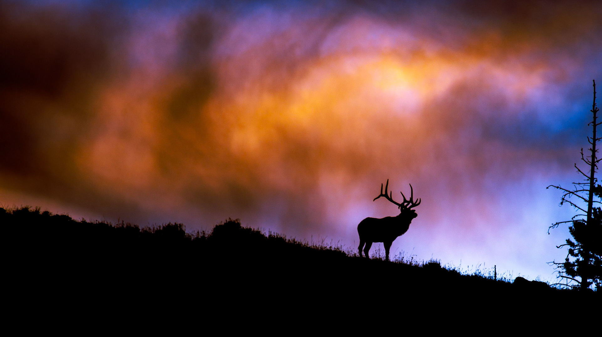 The Coming Storm