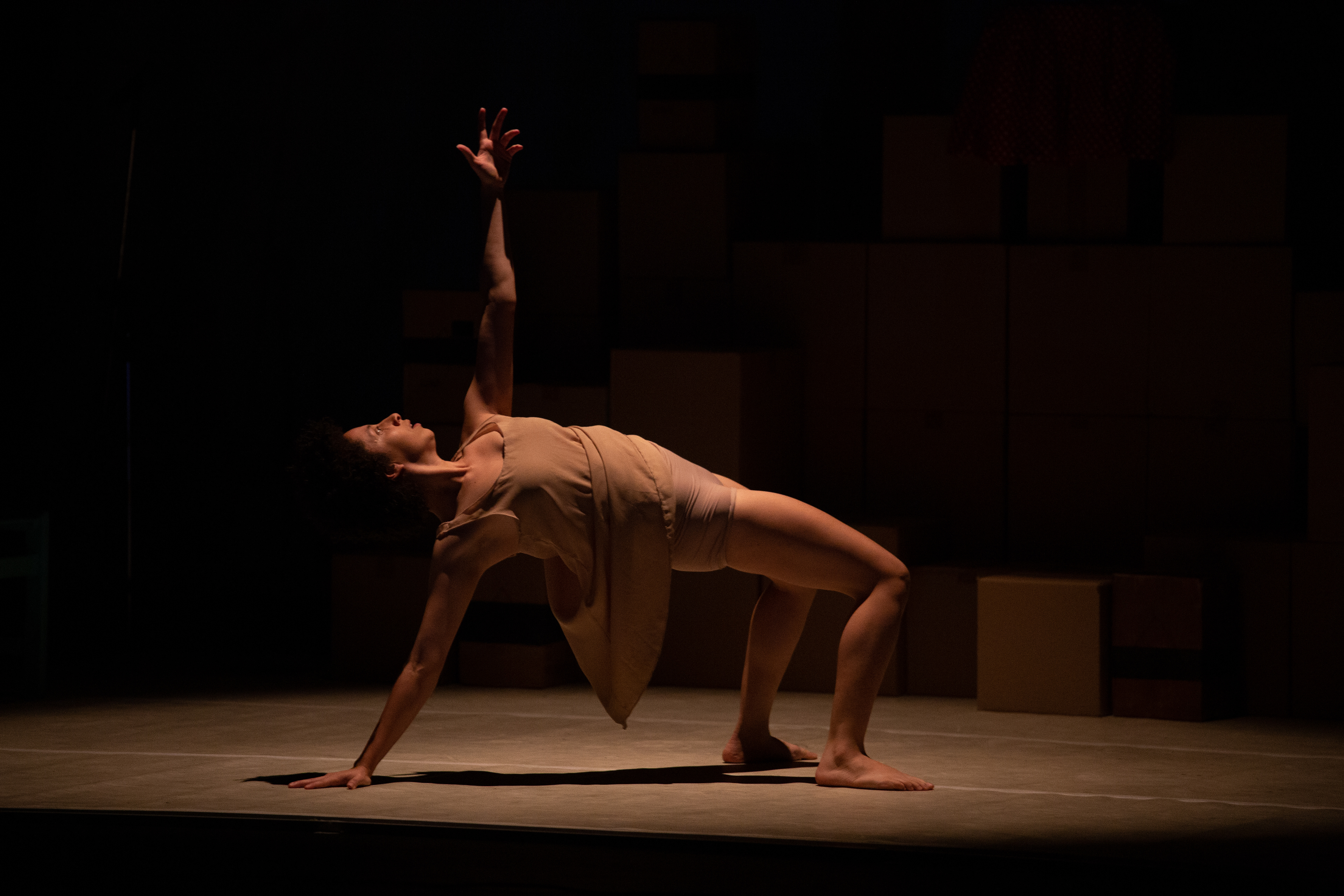 O suicídio mais bonito do mundo