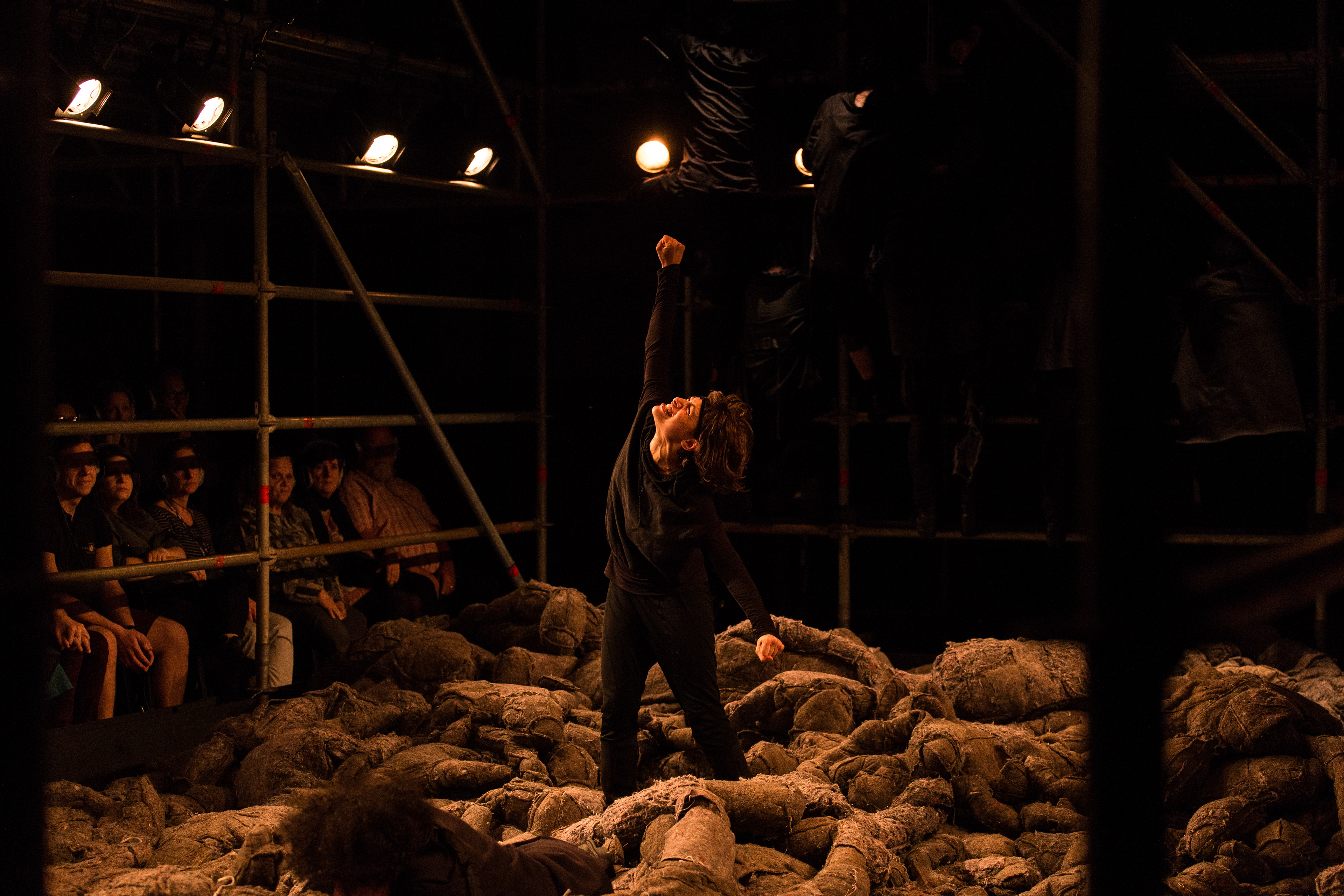 Grande Sertão Veredas