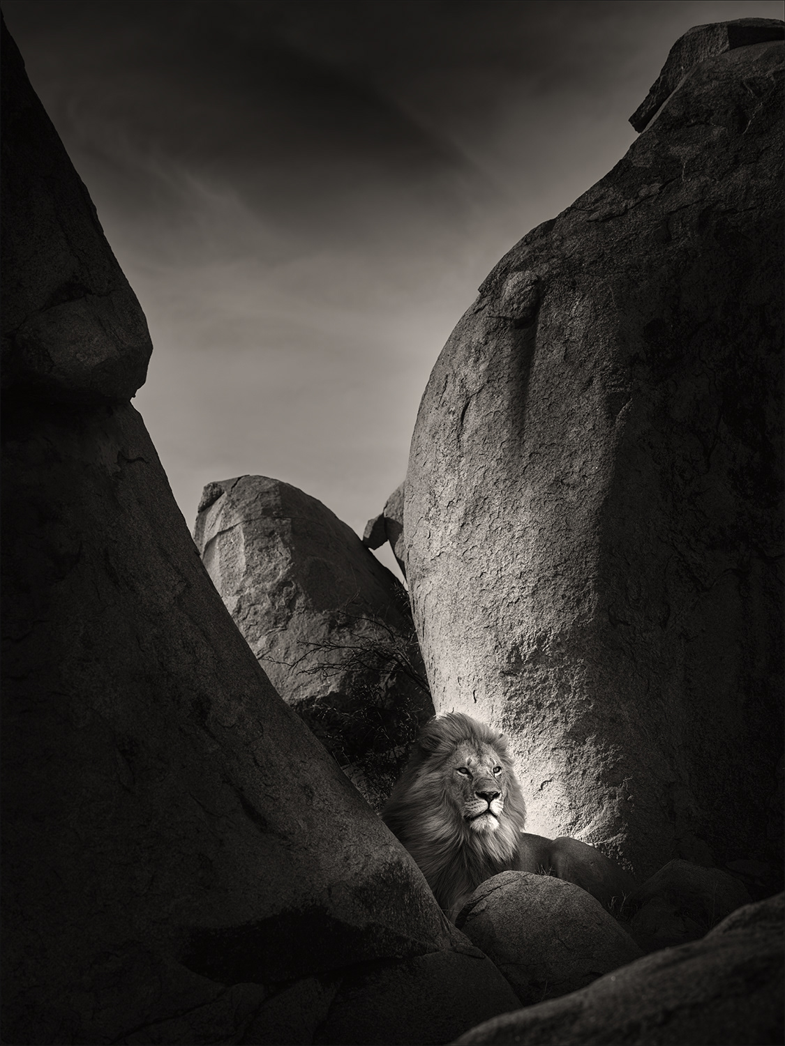 Lion Rock I