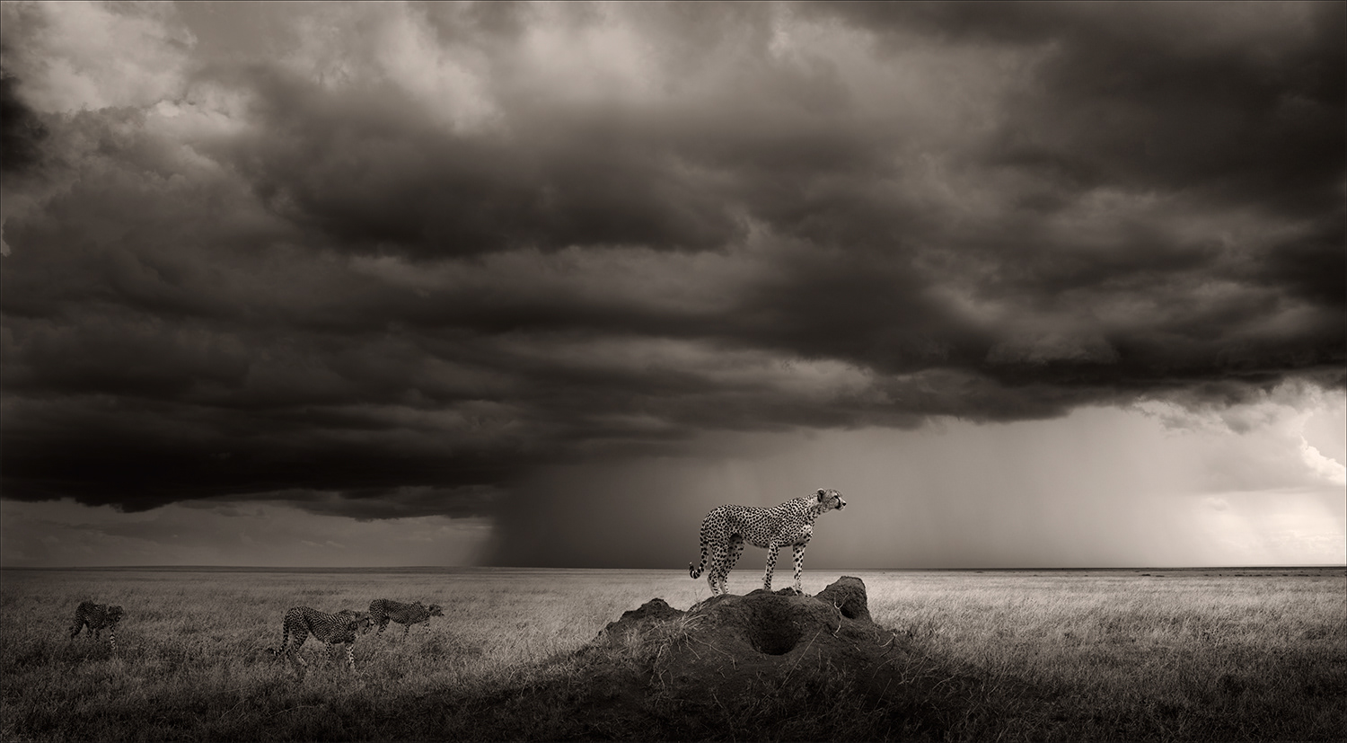 Thunderroad