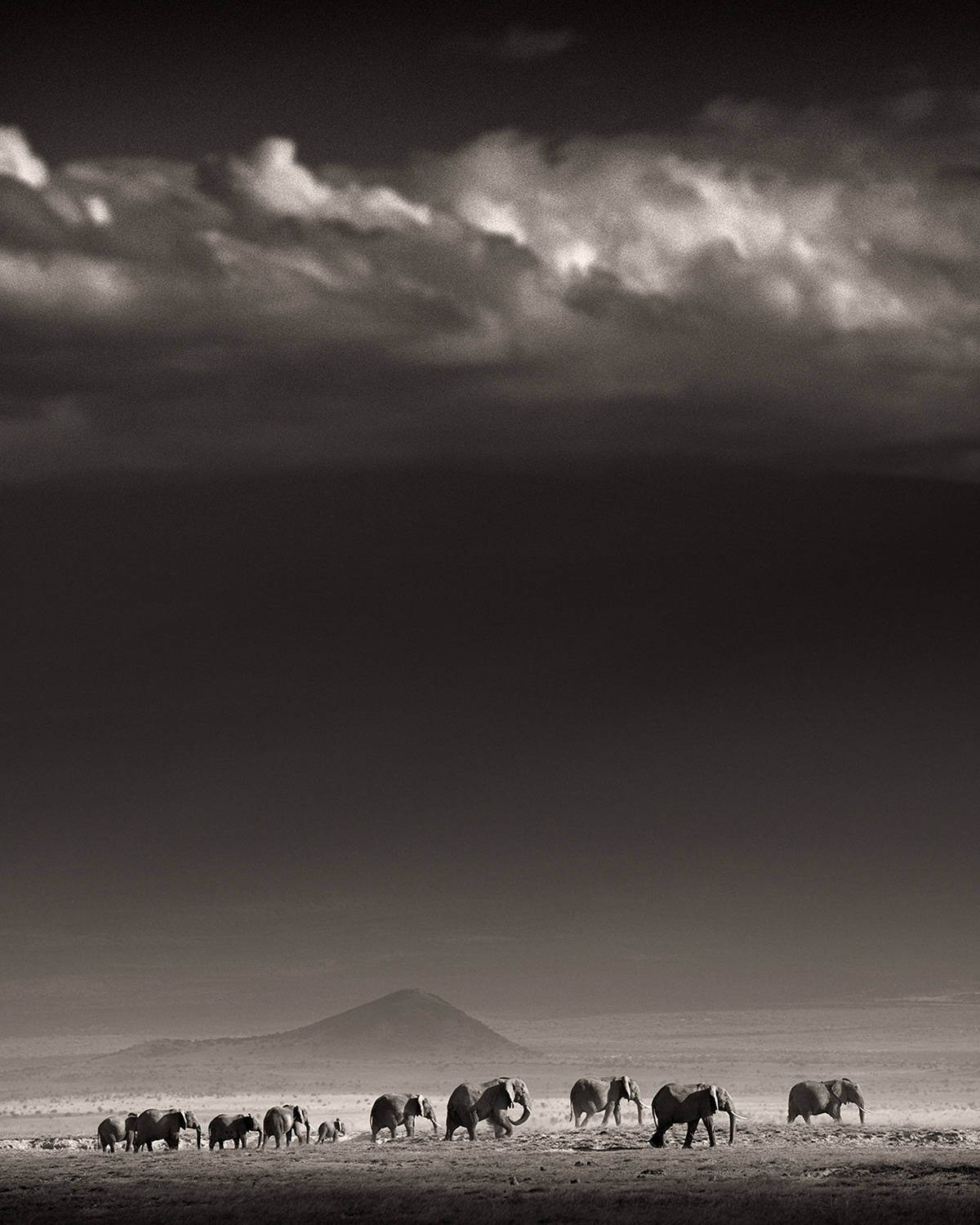 Family in front of Kilimanjaro I