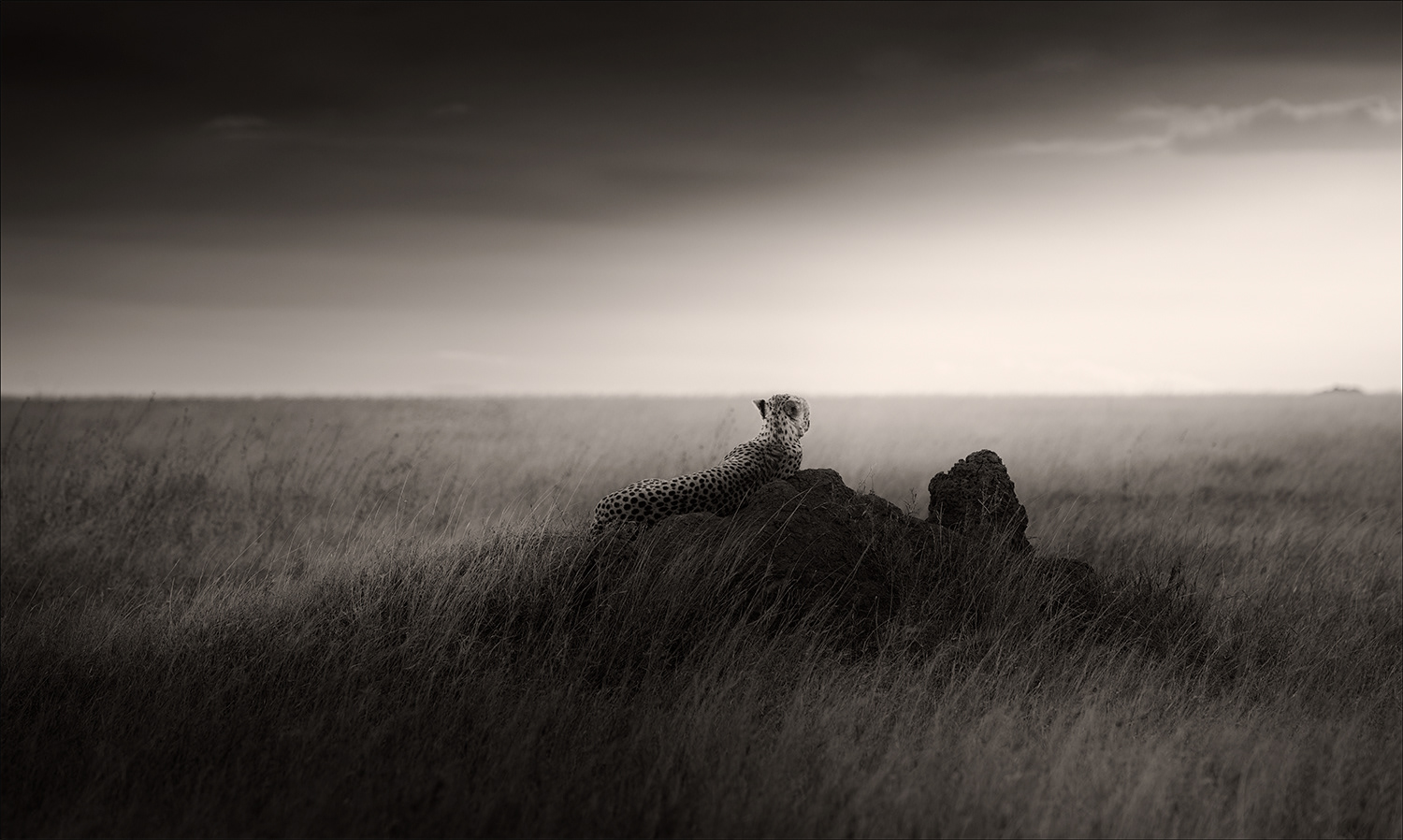 Silence II