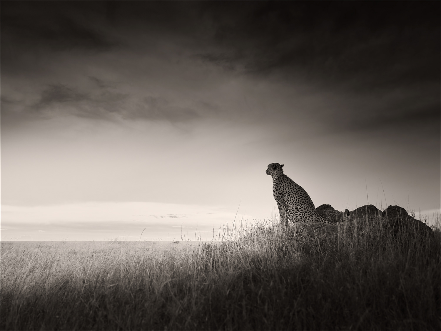 Silence