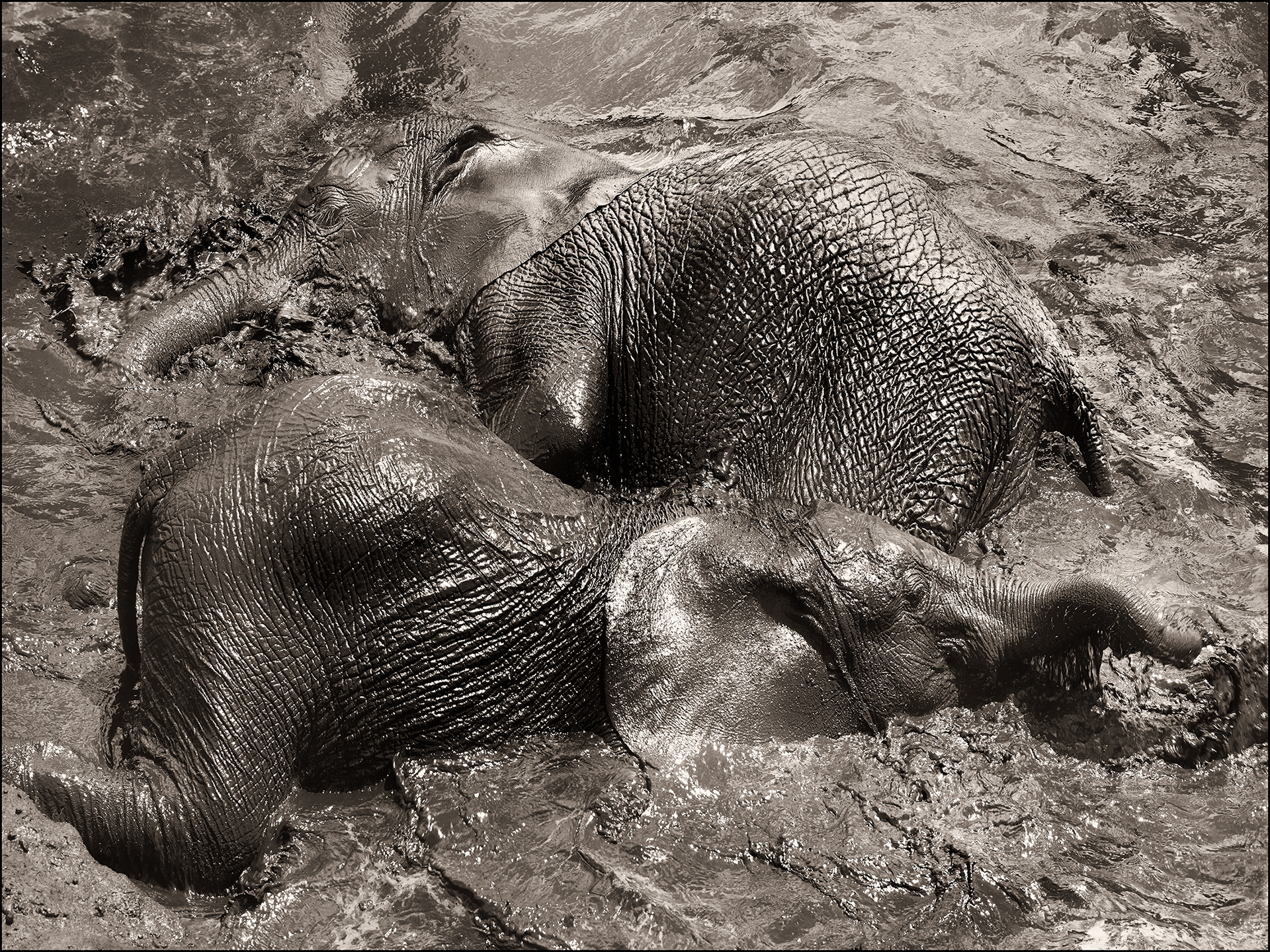 Mudbath III