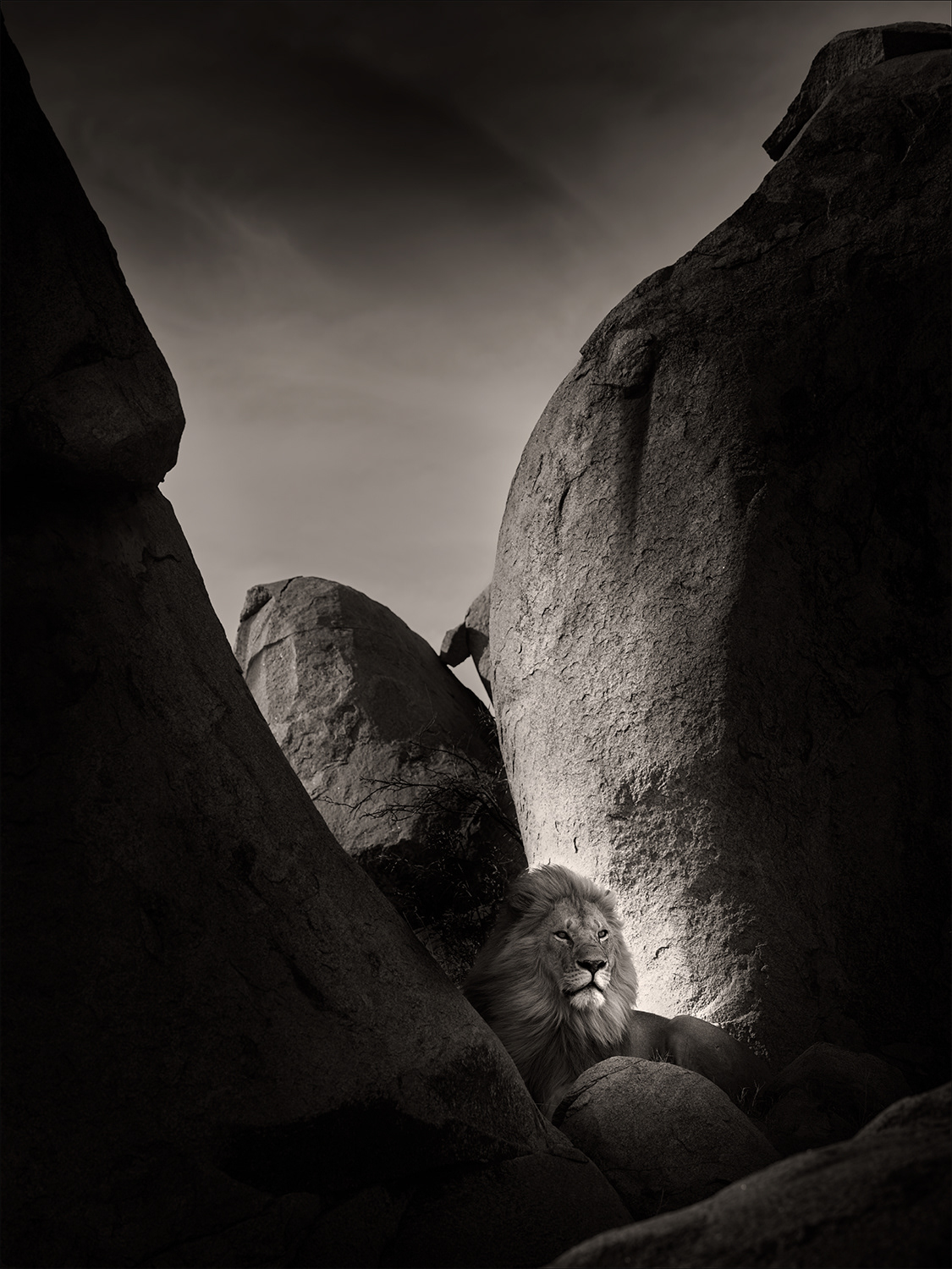 Lion Rock I