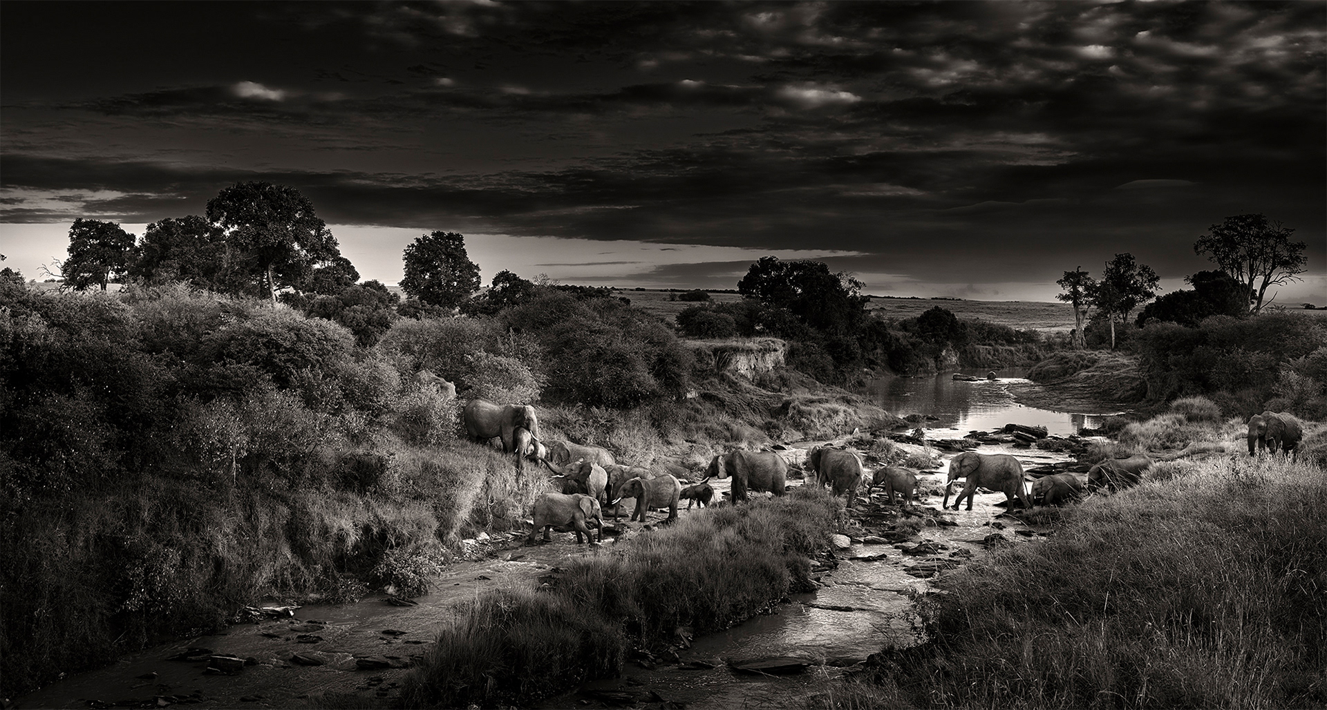 Dramatic Crossing