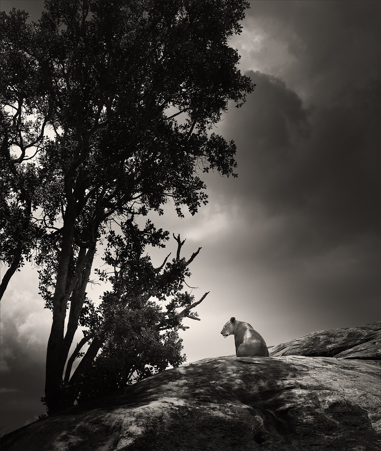 Into the mystic