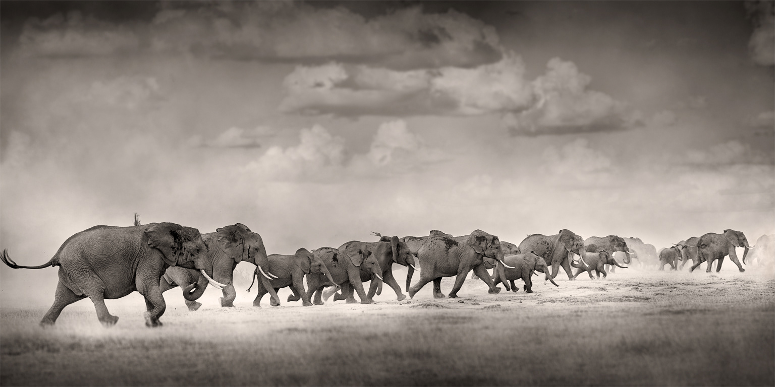 Fleeing the storm