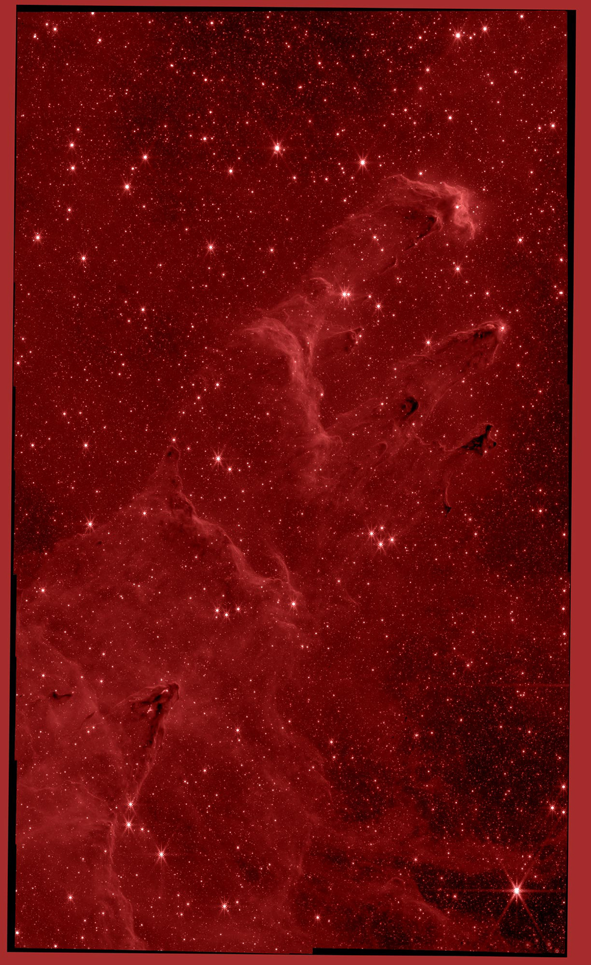 F444W