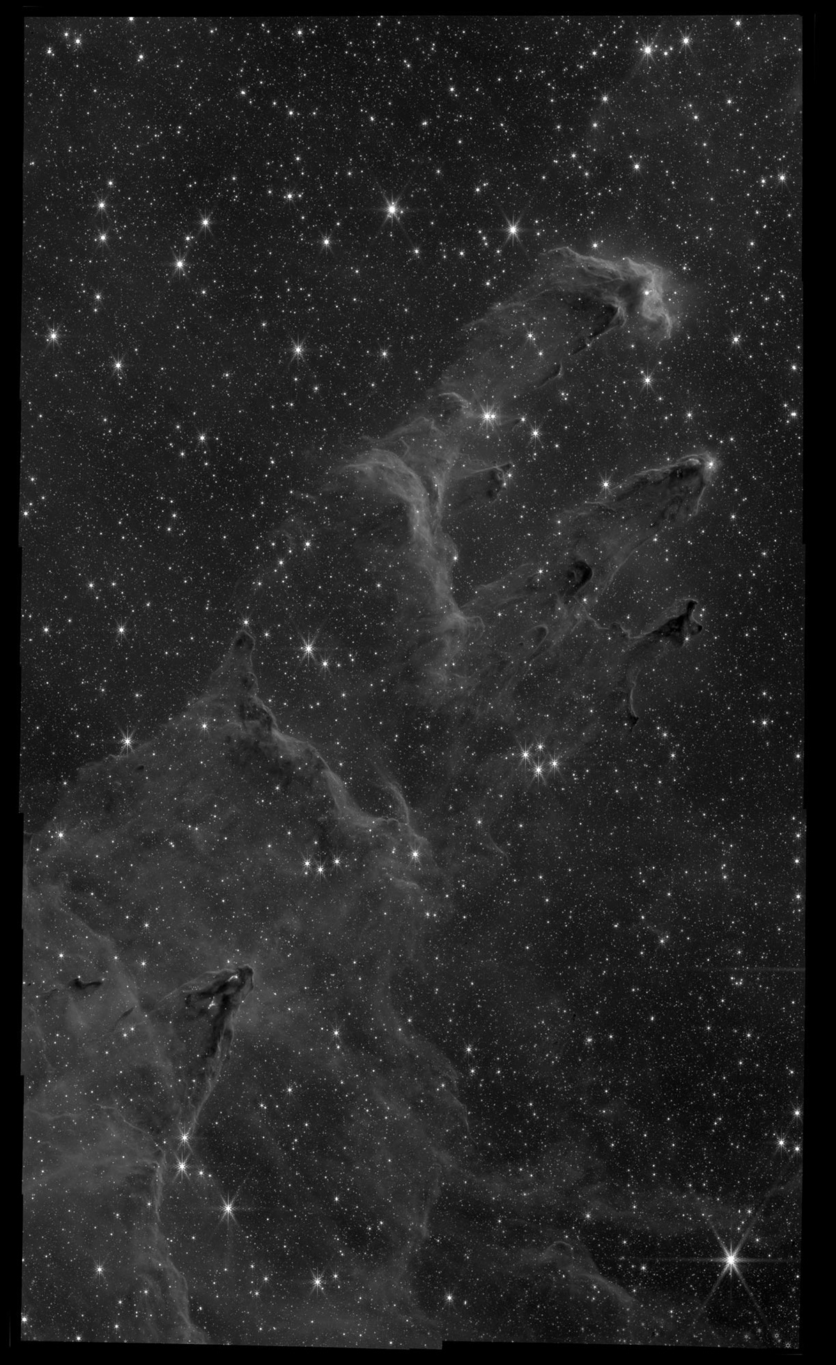 F444W