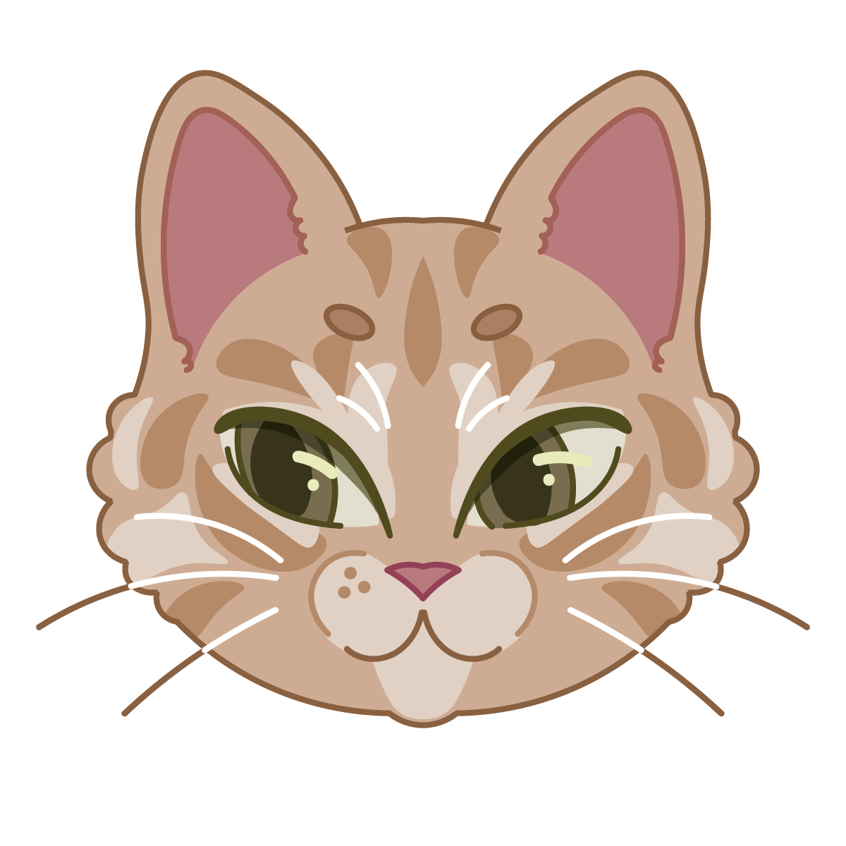 Illustration: Chimborazo the Cat