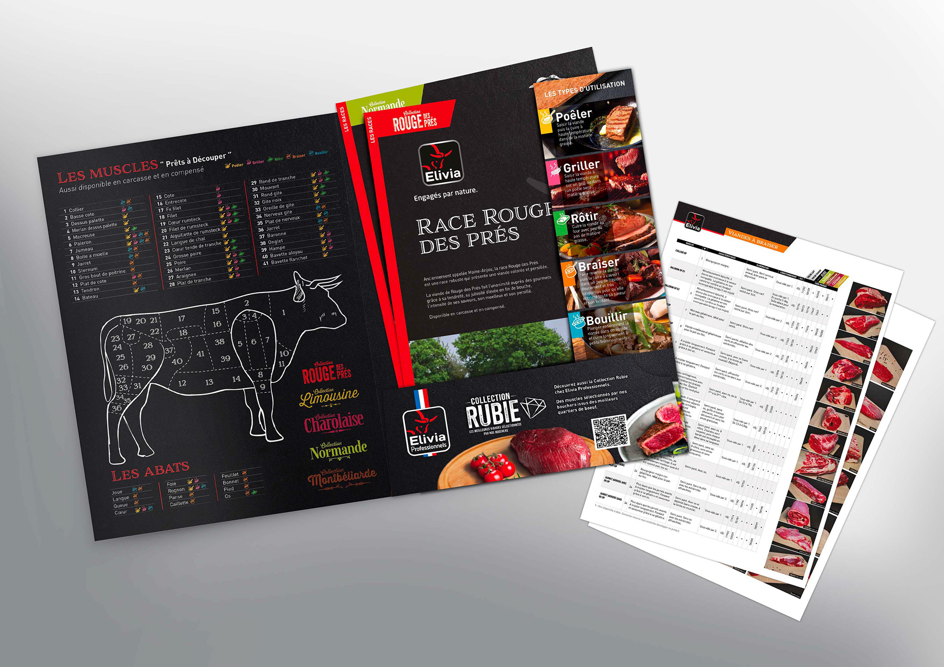Création de la plaquette et des fiches produits Elivia