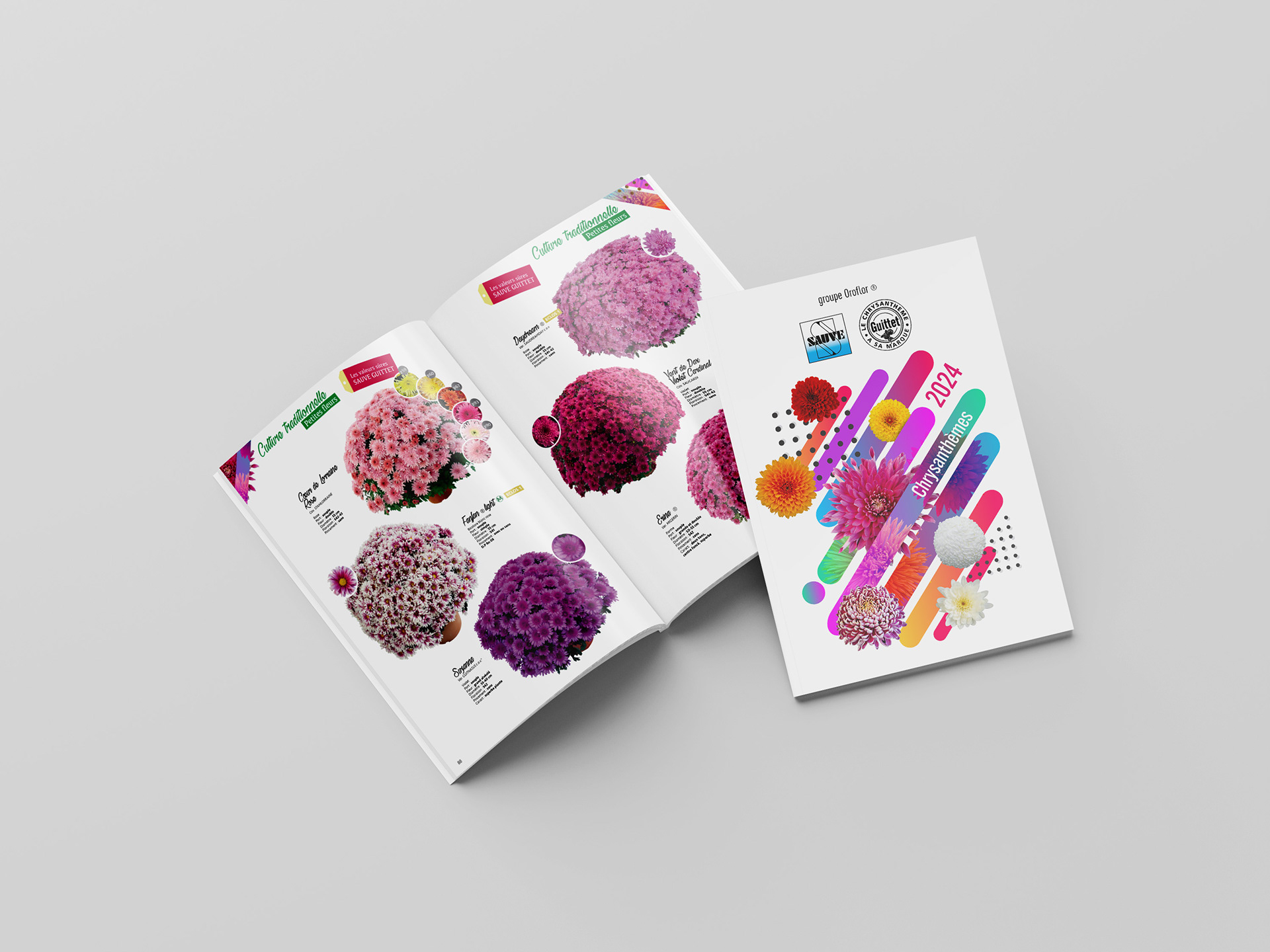 Catalogue SAUVE 2024