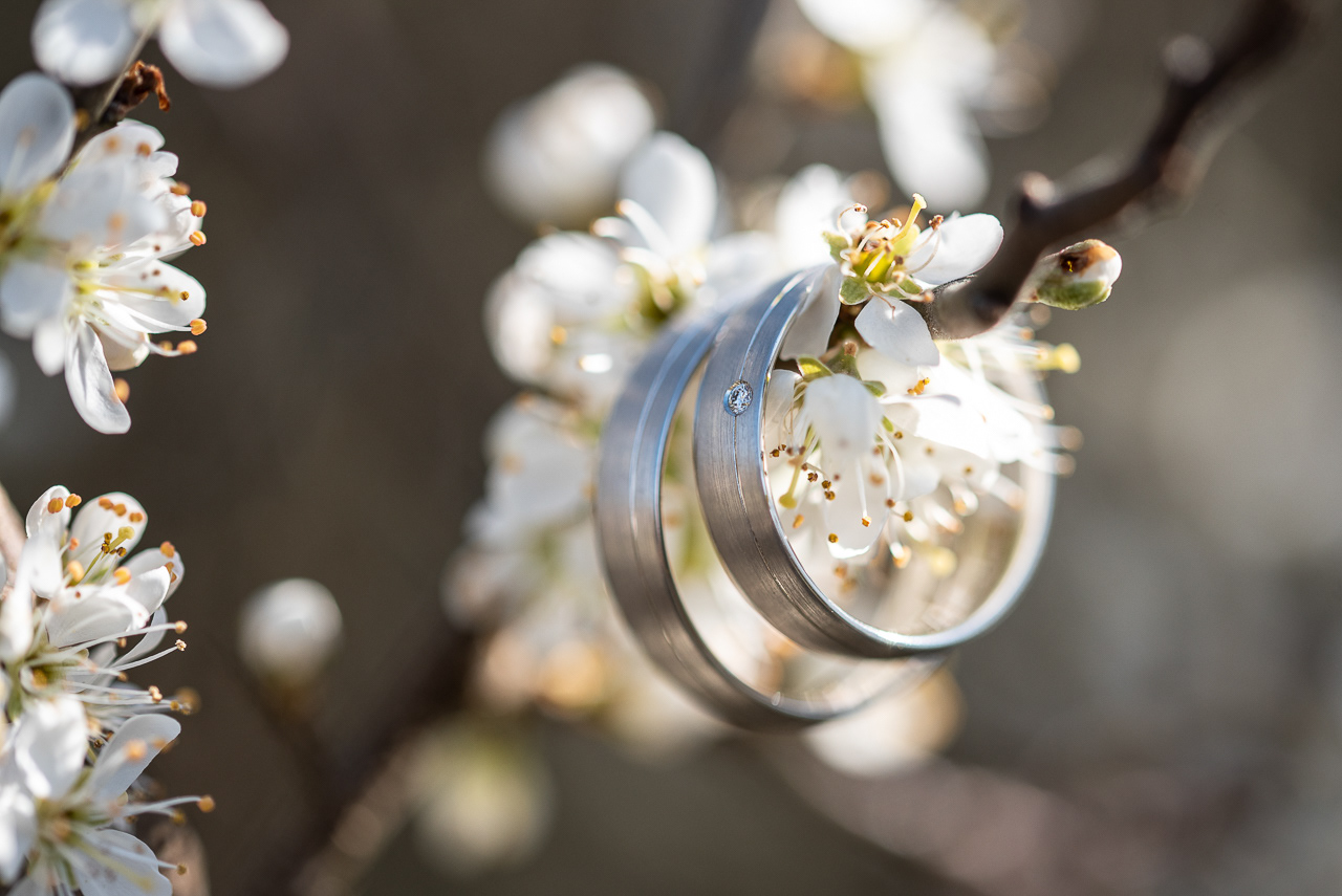 Wedding || Mechthild & Ralf