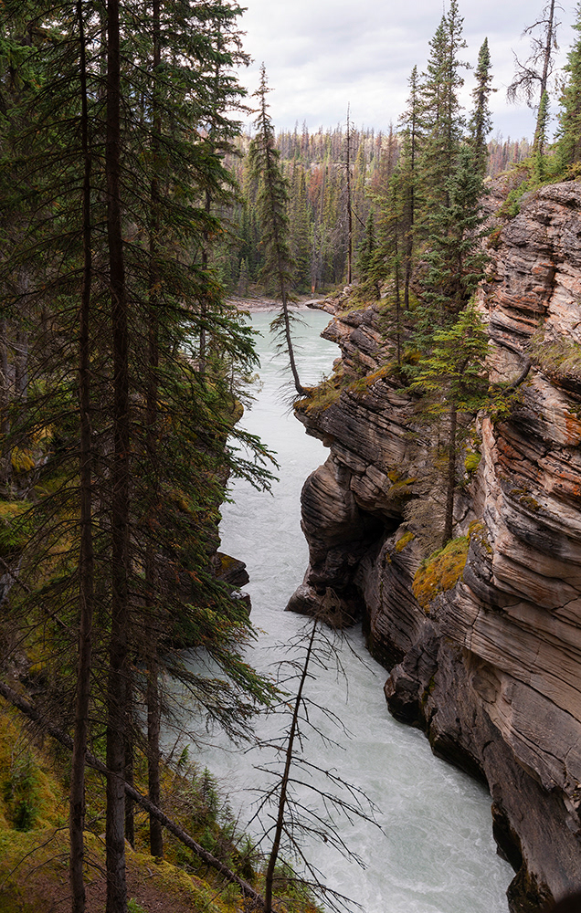 Athabasca Falls