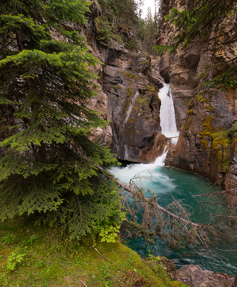 Johnston Canyon