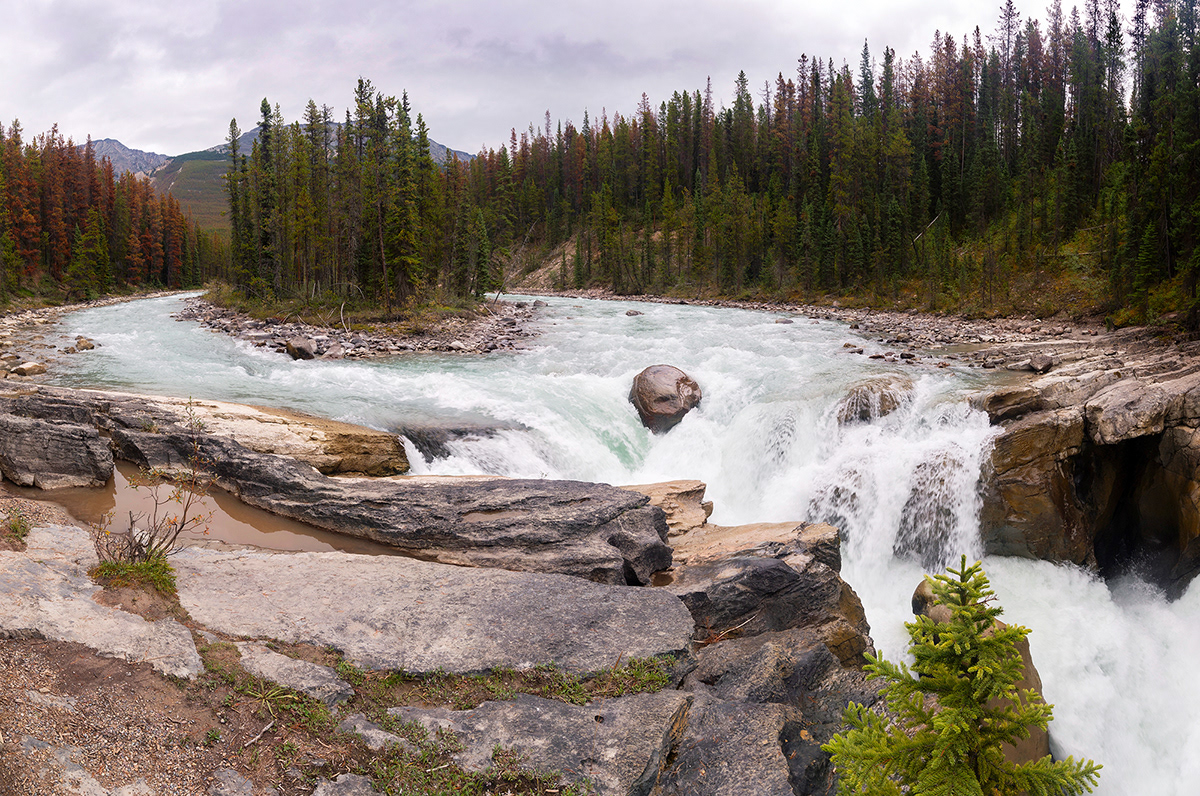 Sunwapta Falls
