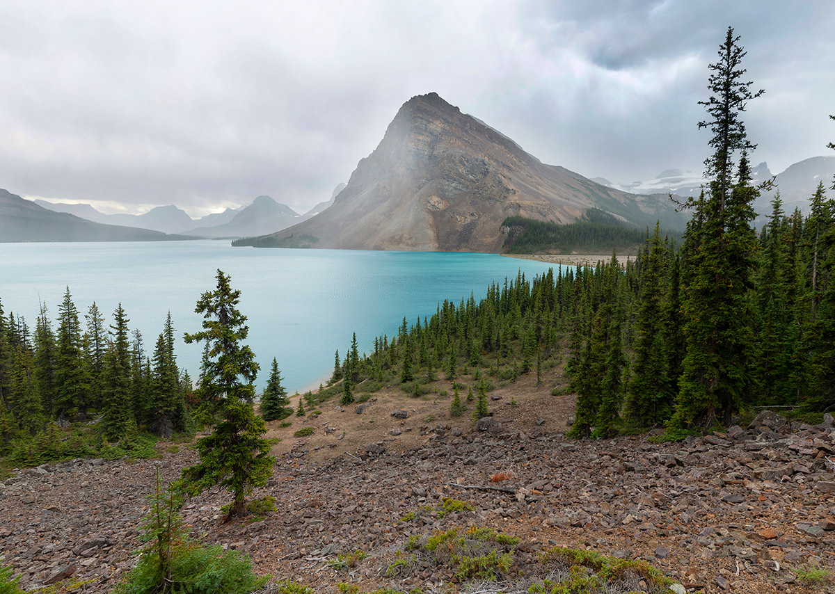 Rain over Bow Lake