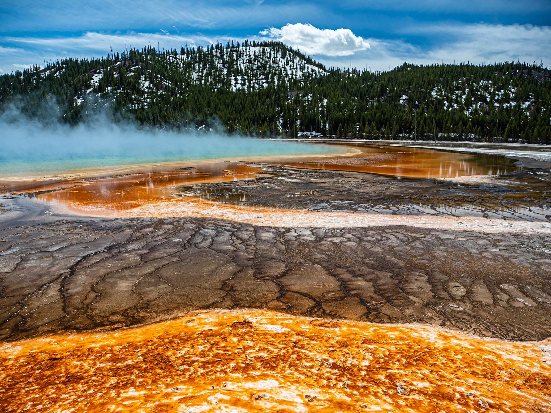 Grand Prismatic Spring: Steam rises from the Grand Prismatic Spring in the Midway Geyser Basin of Yellowstone National Park.  The hot spring is flanked by richly hued mineral and microbial mats.