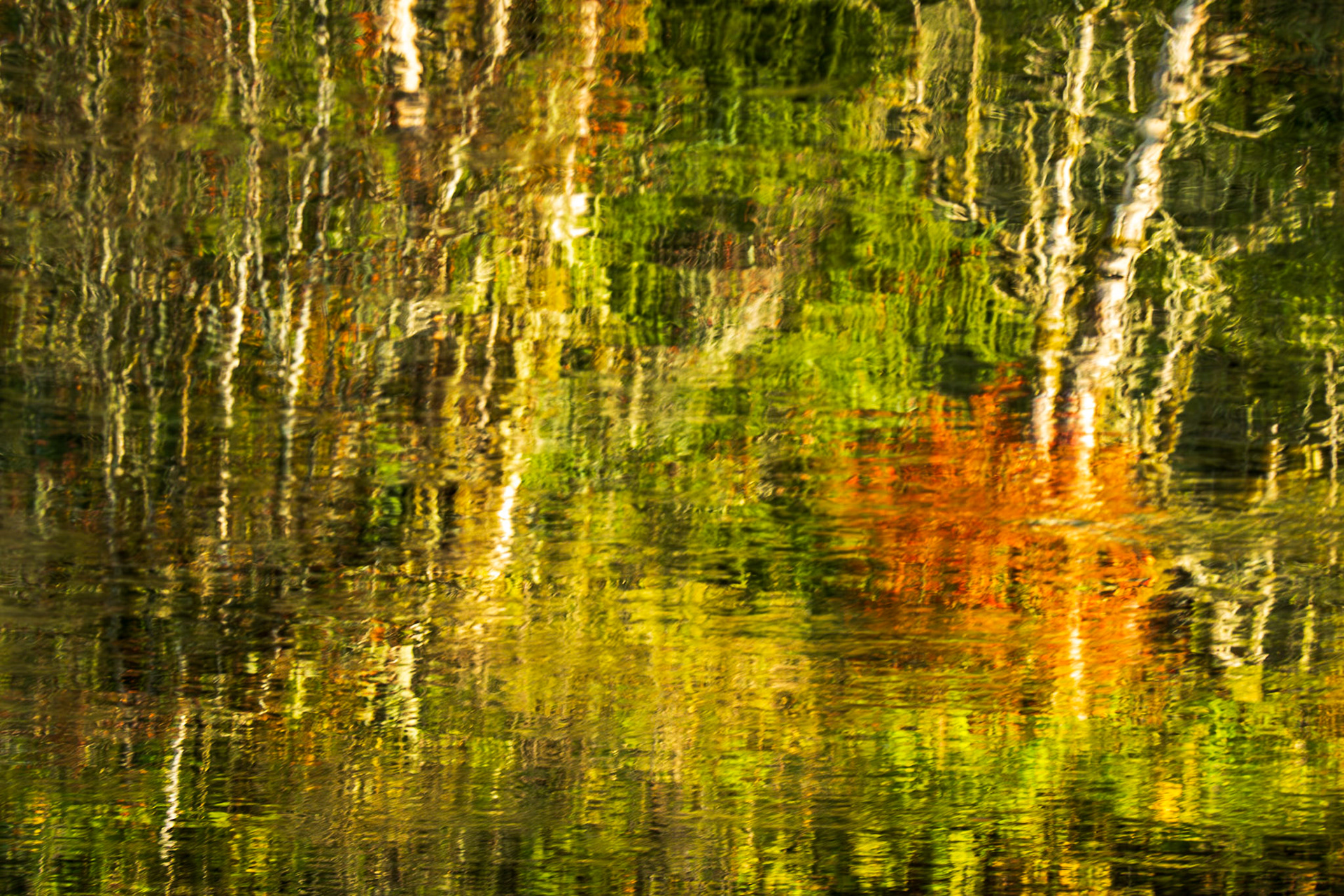 Quiet Reflection: Reflection on the Middle Fork of the Snoqualmie River.